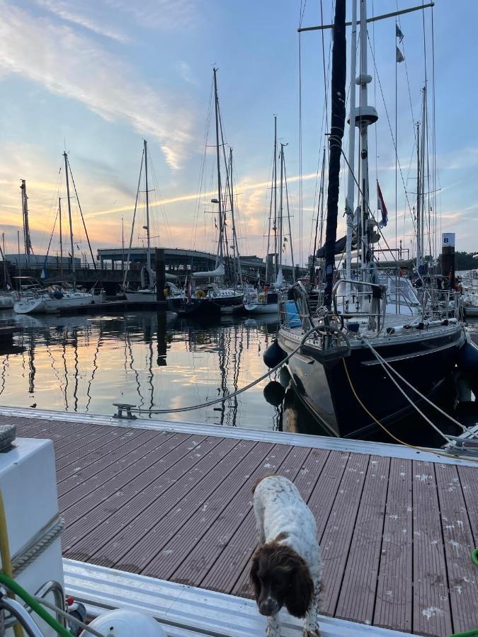 Villa Face Mer Aux Magnifiques Couchers De Soleil 5 Mn De Nausicaa ブローニュ・シュル・メール エクステリア 写真